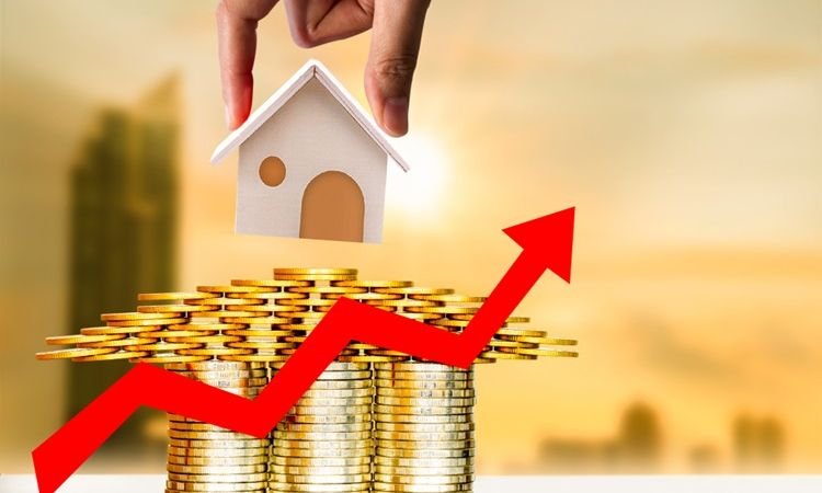 property tax